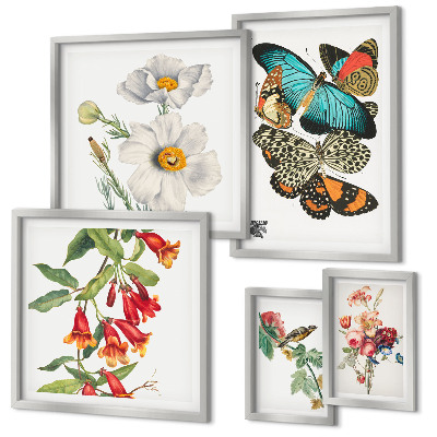 Ensemble de 5 tableaux Fleurs, papillons, oiseaux, décorations vintage