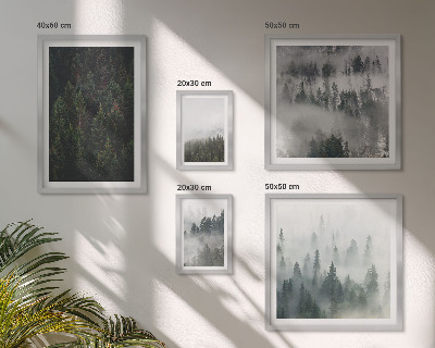 Lot de tableaux encadrés Forêts verdoyantes de paysages brumeux