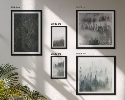 Lot de tableaux encadrés Forêts verdoyantes de paysages brumeux
