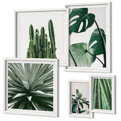 Tableau de décoration murale Plantes tropicales vertes d'intérieur