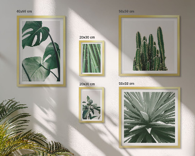 Tableau de décoration murale Plantes tropicales vertes d'intérieur