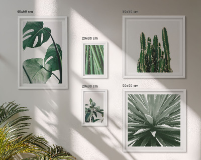 Tableau de décoration murale Plantes tropicales vertes d'intérieur