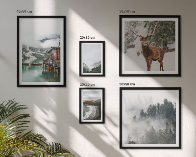 Tableau de décoration murale Faune sauvage et nature montagnes
