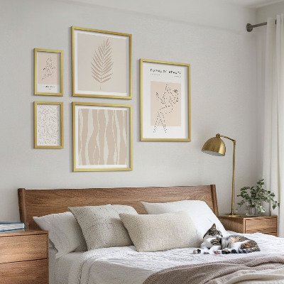 Ensemble de 5 tableaux Des graphismes stylés de femmes et de plantes
