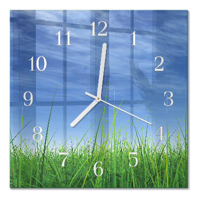Horloge carrée en verre Herbe