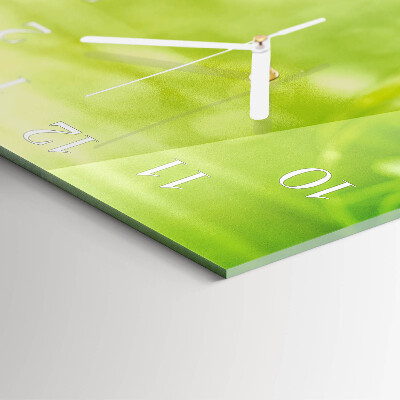 Horloge carrée en verre Herbe