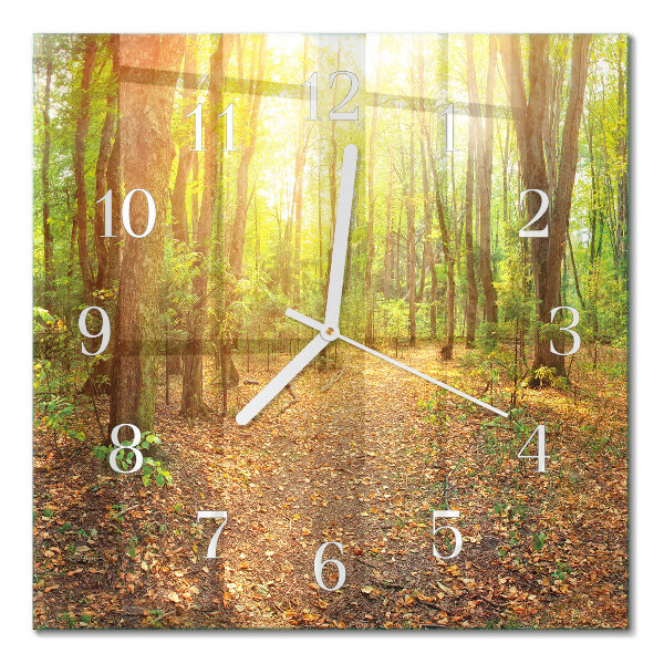 Horloge murale carrée Chemin forestier