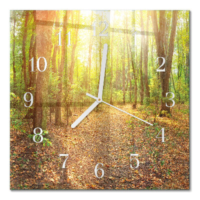 Horloge murale carrée Chemin forestier