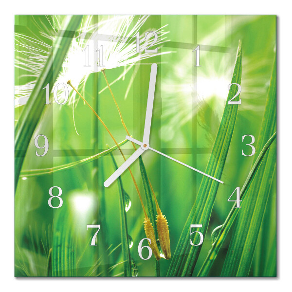 Horloge carrée en verre Herbe
