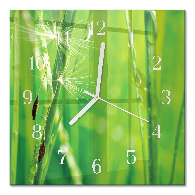 Horloge carrée en verre Herbe