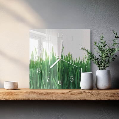Horloge carrée en verre Herbe