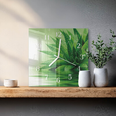 Horloge carrée en verre Aloès