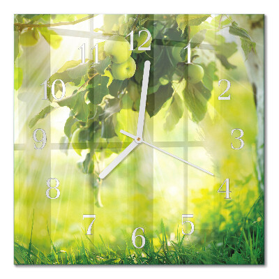 Horloge carrée en verre Pommier