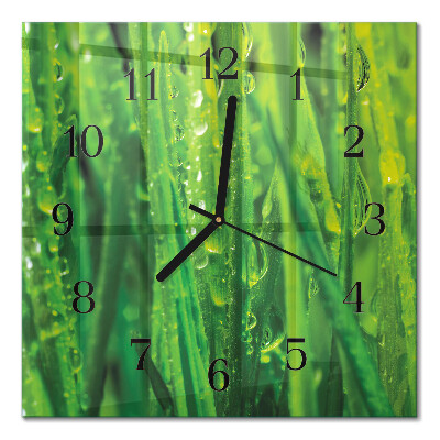 Pendule carrée en verre Herbe