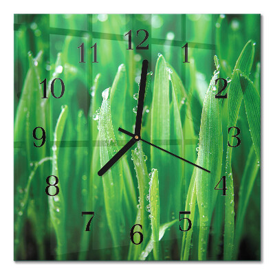 Pendule carrée en verre Herbe verte