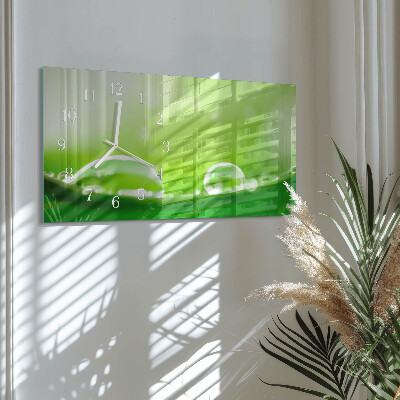 Horloge murale horizontale Des gouttes sur une feuille