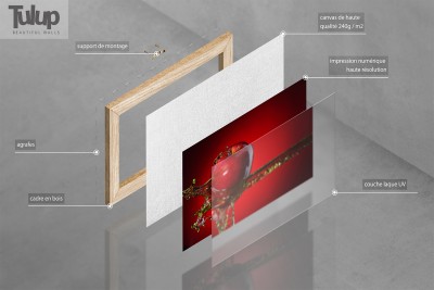 Visualisation d'éléments d'image sur une toile