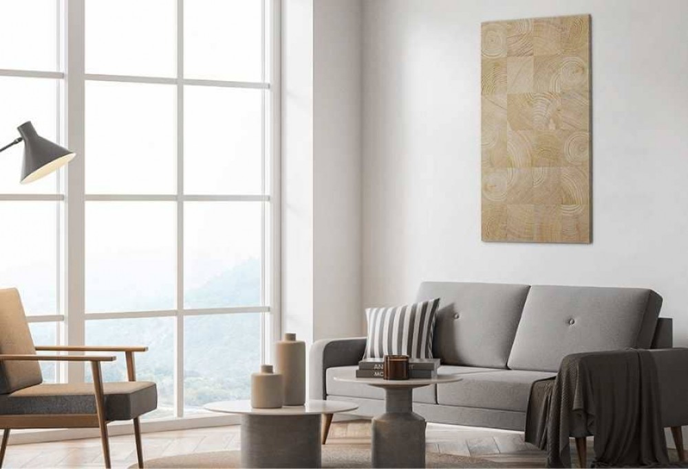 salon de style scandinave