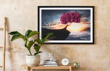 Tableaux en mousse - découvrir la beauté de la nature