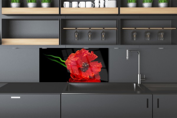 PANNEAU DE CUISINE BLANC OU NOIR