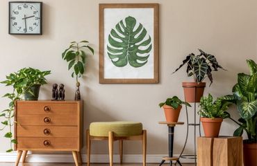 Comment décorer votre maison dans le style jungle urbaine ? Jungle urbaine sans secrets