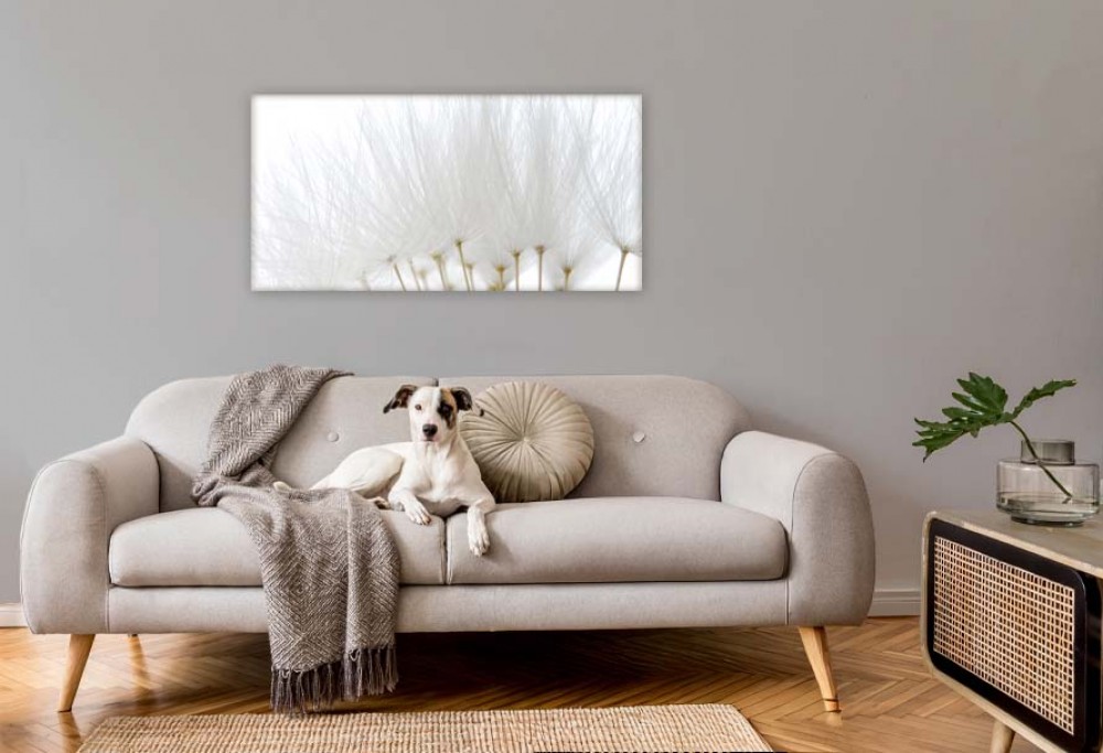 couleur intérieure de l'année 2026